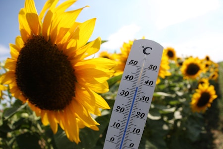 Deutscher Wetterdienst misst bislang höchste Temperatur des Jahres