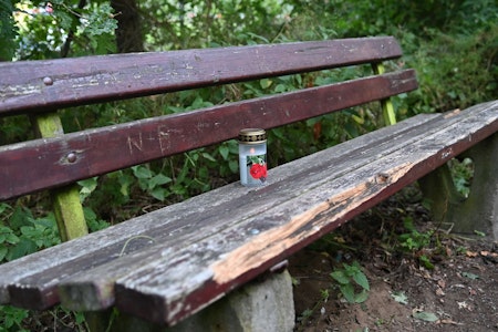 Frau und Kleinkind tot an Waldweg in Dorsten gefunden: 16-Jähriger in U-Haft, neue Details