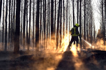 Waldbrand in Brandenburg: Feuer in Gohrischheide weiterhin nicht unter Kontrolle