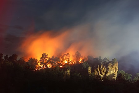 Schwierige Lage in Sachsen: THW und Feuerwehr kämpfen gegen Waldbrände