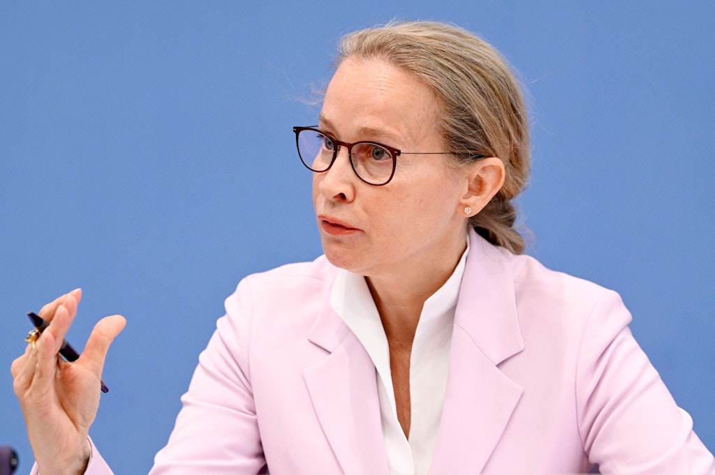 Frauke Brosius-Gersdorf: 300 lawyers sign statement on SPD candidate
