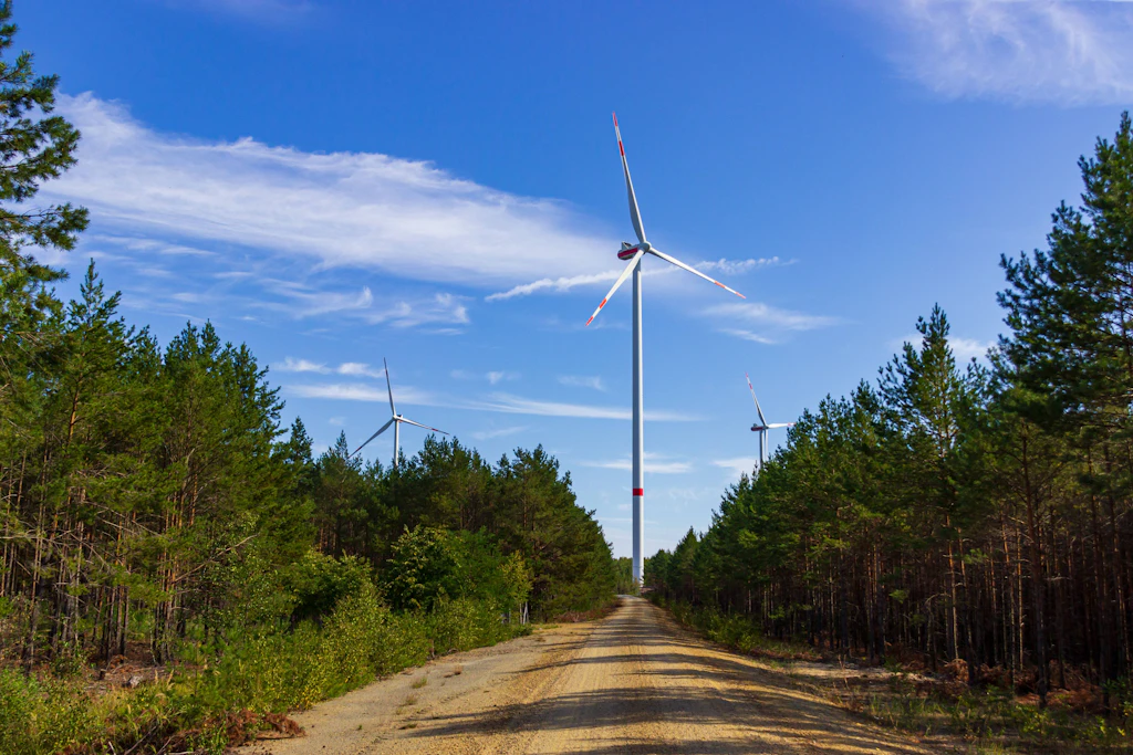 Wind turbines in forests: This is how Brandenburg is positioning itself on ...