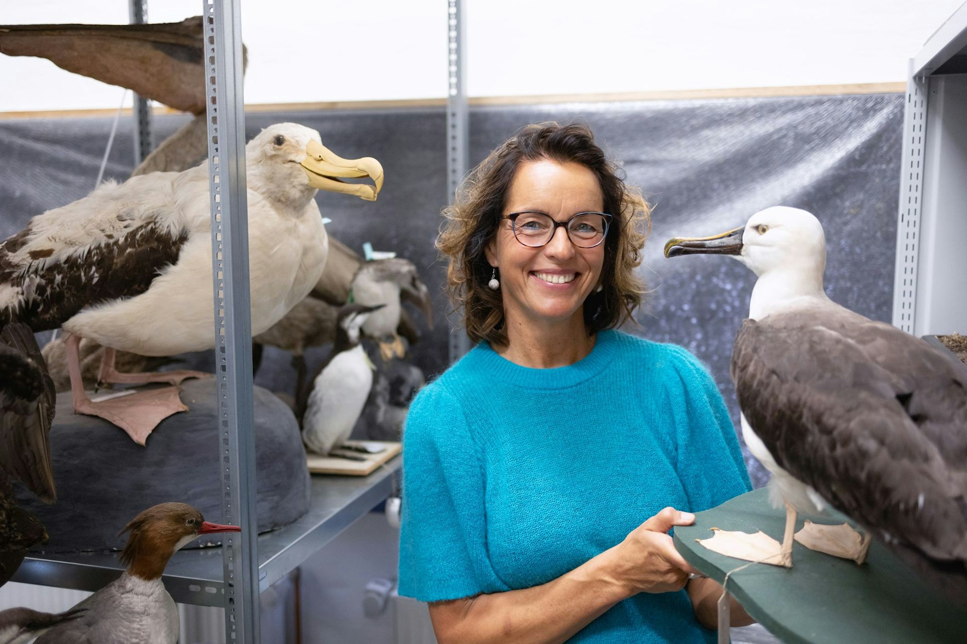 Dorit Visbeck-Liebers vom Meeresmuseum in Stralsund ist Möwen-Expertin.