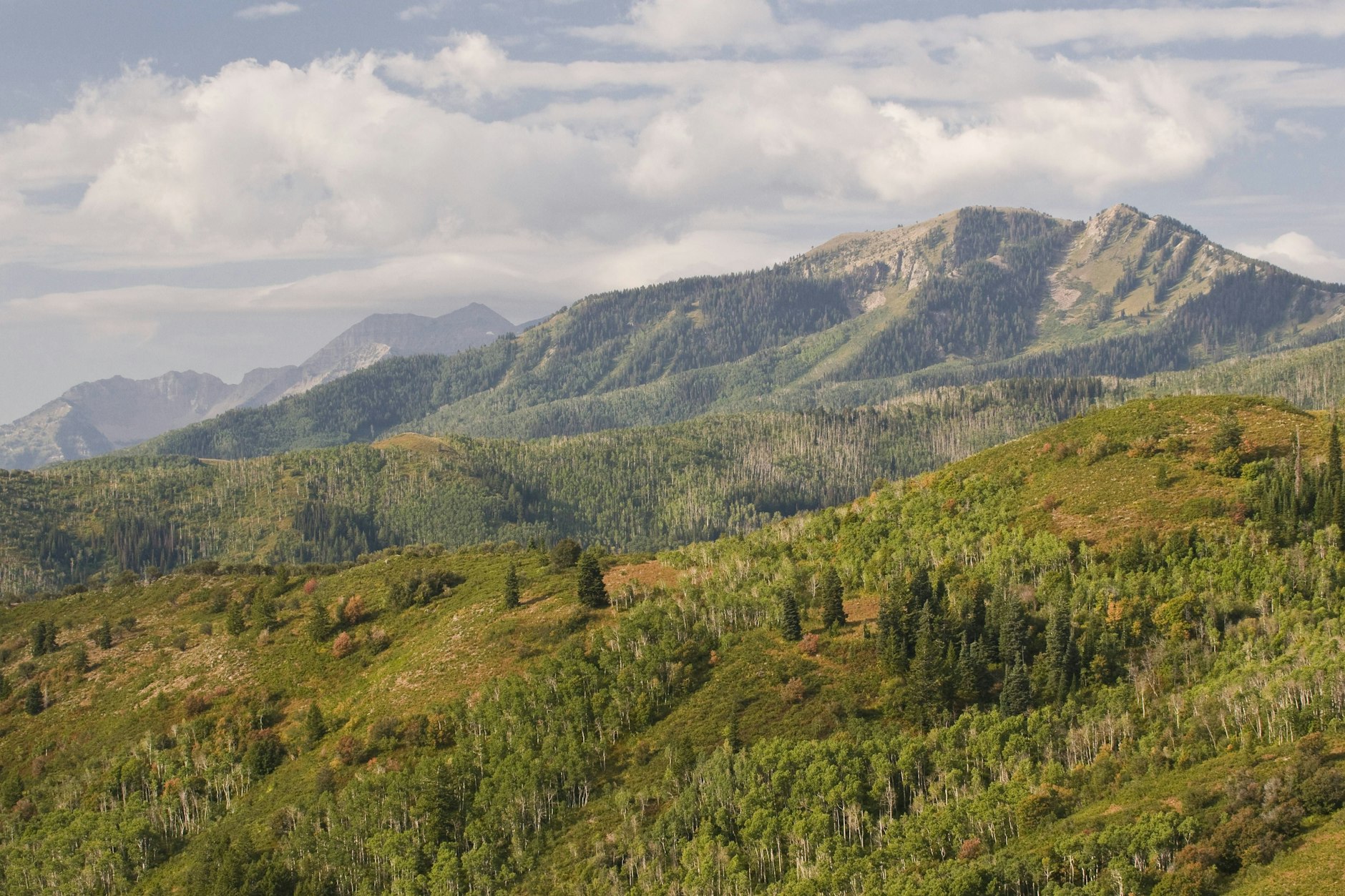 Blick auf Wasatch Mountains und das Heber Valley