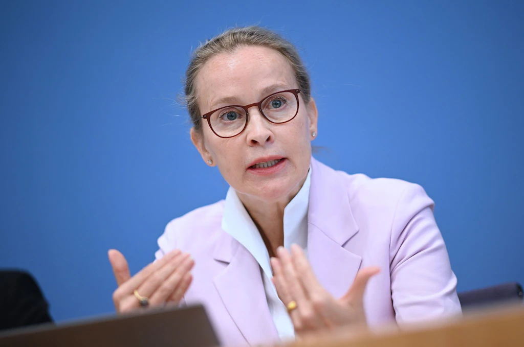 Report: Did Brosius-Gersdorf's husband write her doctoral thesis?