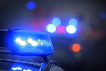 Schüsse fallen vor Lokal in Schöneberg: Polizei entdeckt 200 Cannabis-Pflanzen im Auto