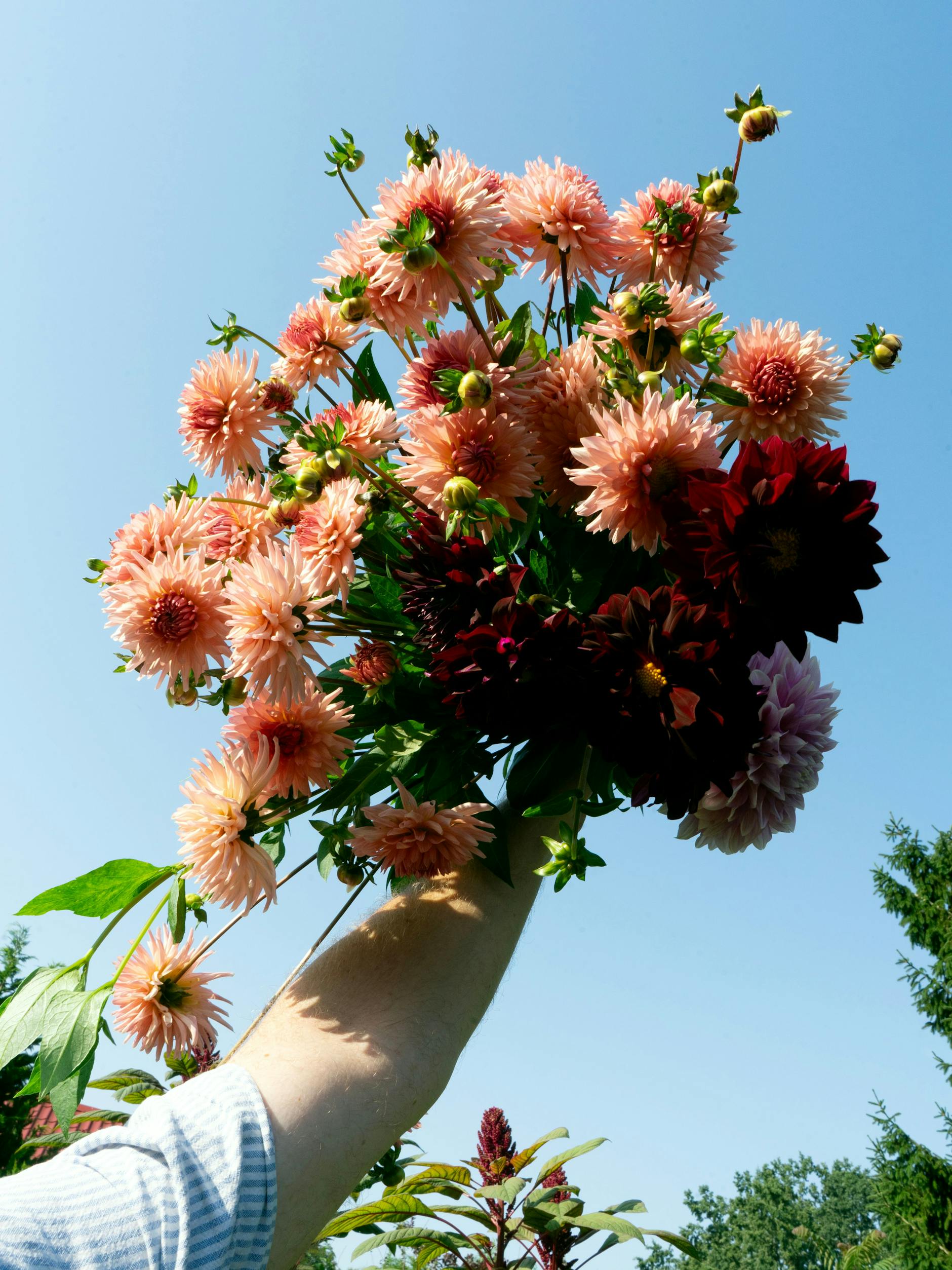 Lots of flowers, little greenery: The Marsano style was something completely new in Berlin.