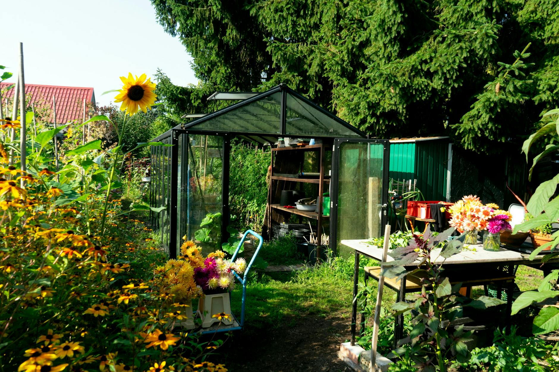 For adults only: The greenhouse is not heated; the first cultivation takes place in the store.