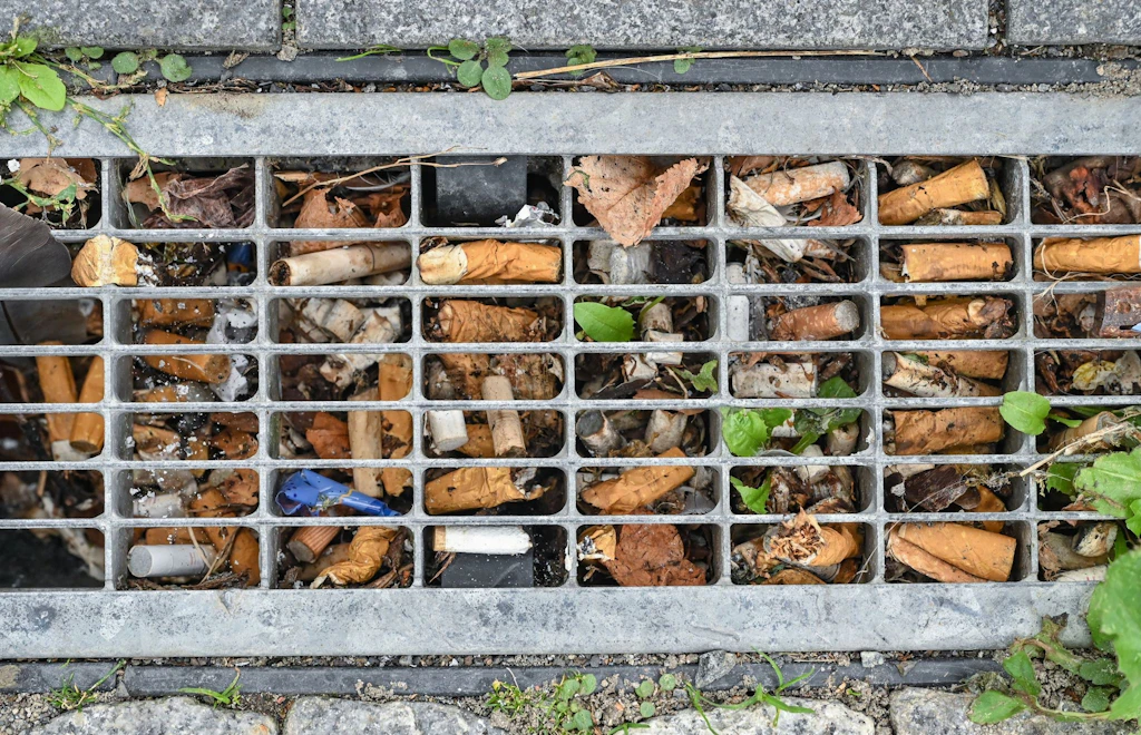 New fines for littering in Berlin: throwing away cigarette butts will cost ...