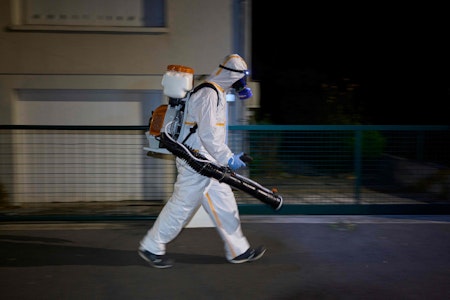 Pest in Kalifornien: Bewohner positiv auf den Schwarzen Tod getestet
