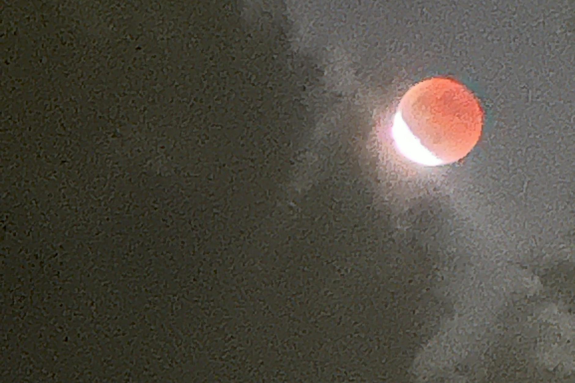 Der Mond gesehen vom Botanischen Garten in Berlin.