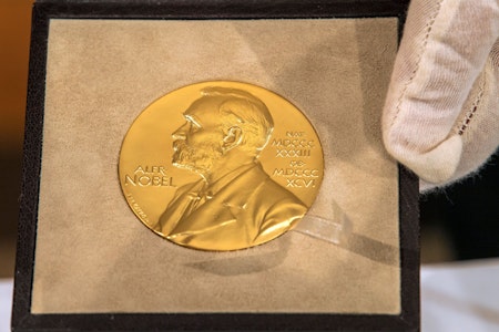 Medizin-Nobelpreis geht an drei Immunforscher aus den USA und Japan